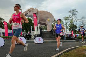 BIB: 
                            <button type="button" onclick="openModal(26528530)" class="btn btn-primary btn-sm float-right btn-popup" data-toggle="modal" data-target=".modal-high-quality">
                        <i class="fas fa-shopping-cart"></i> Add to Cart
                    </button>
                                            <button type="button" onclick="isThisMe(26528530, true)" class="btn btn-success btn-sm float-right btn-popup btn-isme hidden" data-toggle="tooltip" data-placement="bottom" title="นี่คือรูปของคุณใช่ไหม คลิกที่นี่เพื่อเอาเข้าอัลบั้ม">
                        <i class="fas fa-plus"></i> Add to album
                    </button>
                    <button type="button" onclick="isThisMe(26528530, false)" class="btn btn-warning btn-sm float-right btn-popup btn-isnotme hidden">
                        <i class="fas fa-ban"></i> Remove from album
                    </button>